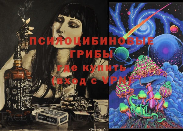 крисы Алзамай