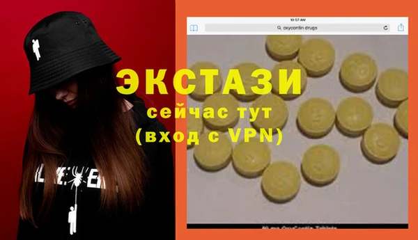 ешки Алексин