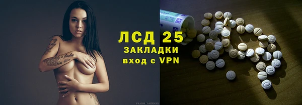 крисы Алзамай