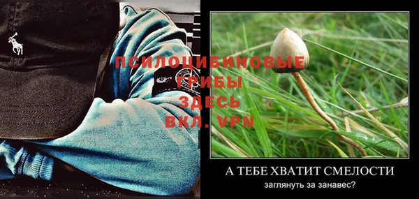 крисы Алзамай