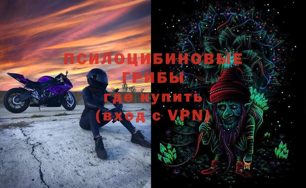 крисы Алзамай