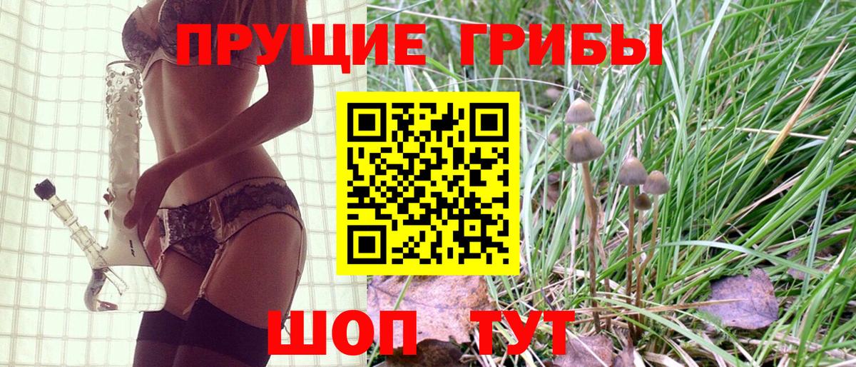 Псилоцибиновые грибы Cubensis  Псилоцибиновые грибы прущие грибы  Вход с VPN  Учалы 